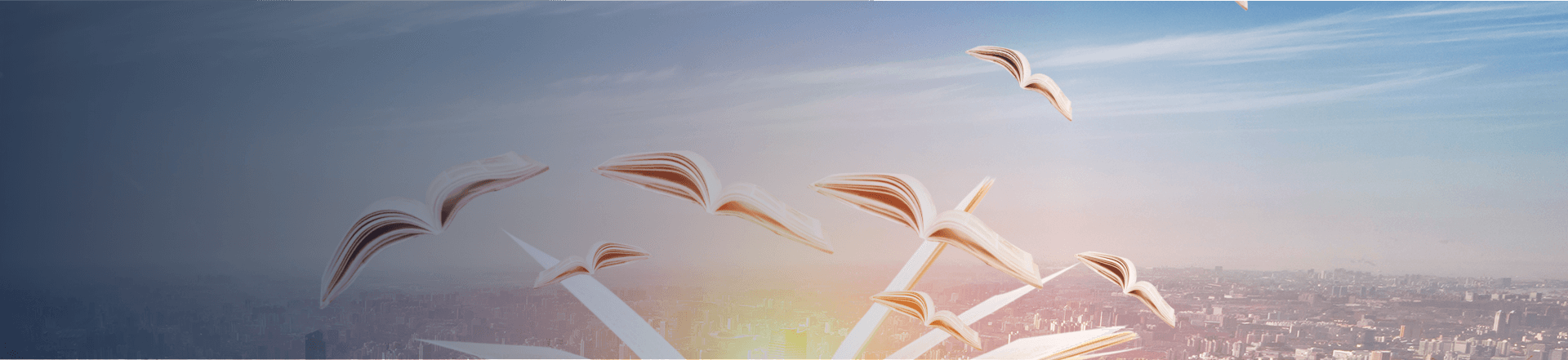 电商云解决方案