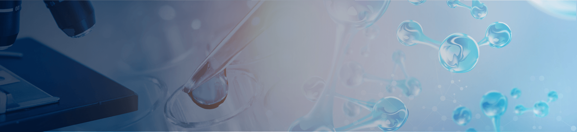 企业级网站建设